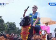 Dahsyatnya Weekend Hadirkan Keseniaan Dodombaa Khas Garut, Ruben Onsu Girang Diarak